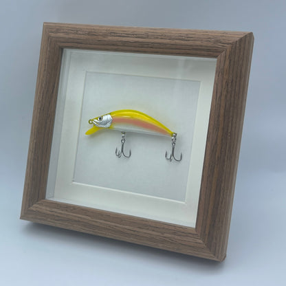 Fishing Lure Display Case - No. 003