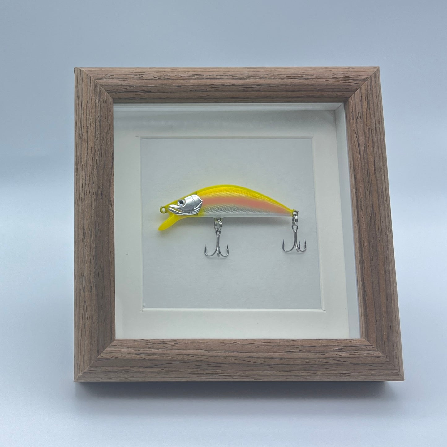 Fishing Lure Display Case - No. 003