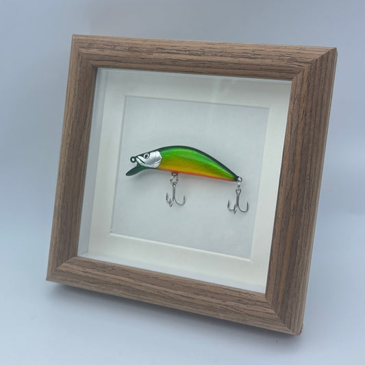 Fishing Lure Display Case - No. 002