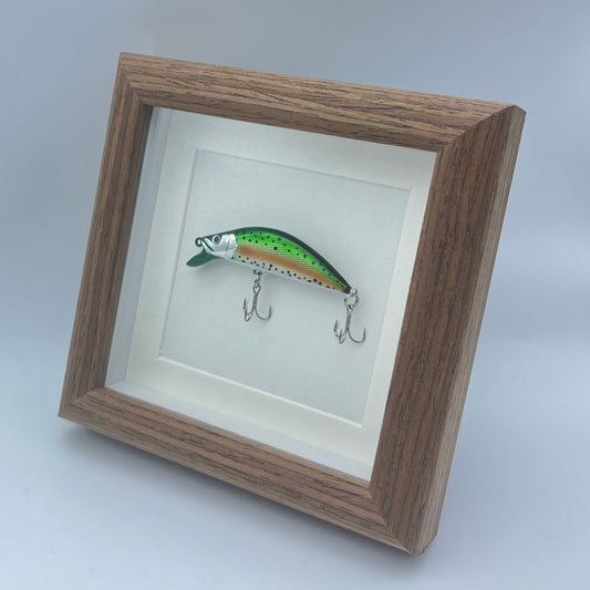 Fishing Lure Display Case - No. 001