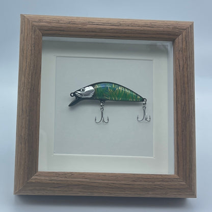 Fishing Lure Display Case - No. 010