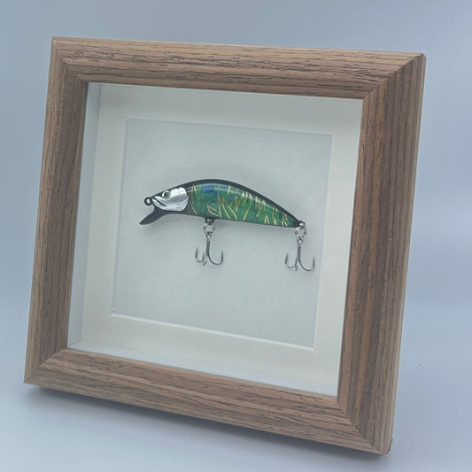 Fishing Lure Display Case - No. 010